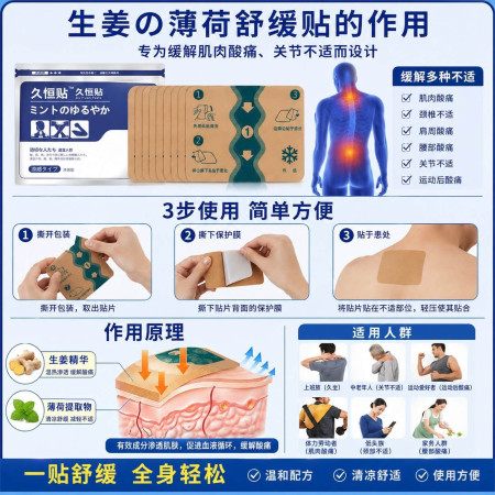 ( 2 Packet 14 Pcs) Japanese Back Pain Relief Patches